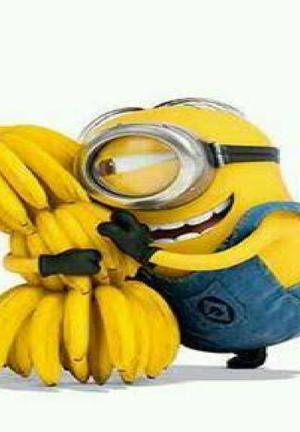 Film: GRU, DRU I MINIONKI