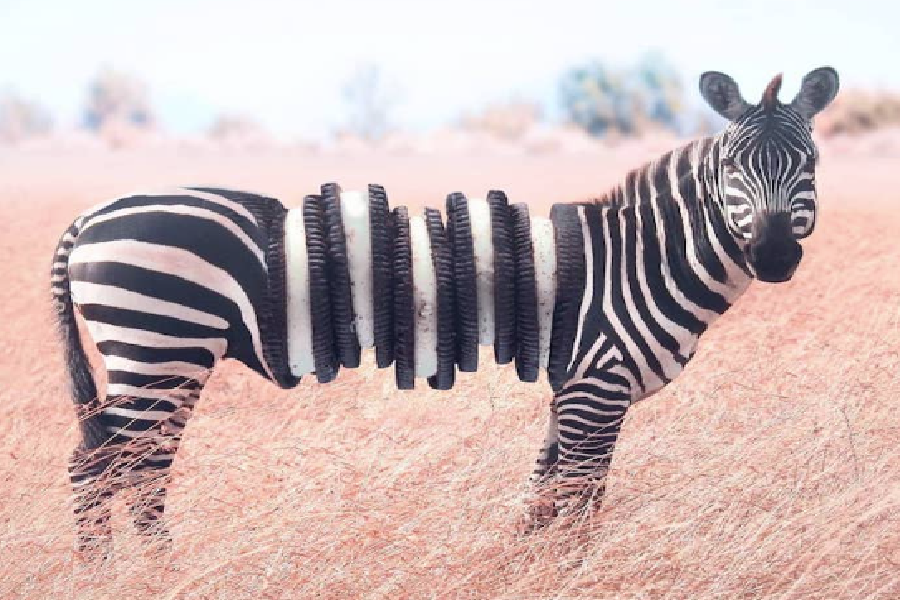 Slider - Wydarzenie: -Test- Master